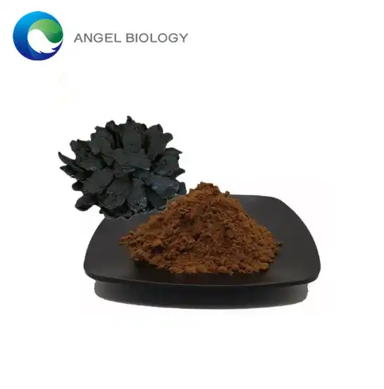 Rehmannia Root Extract in TCM: How Is It Used?